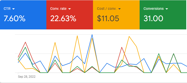 Auto detailing Google Ads account with 22.63% conversion rate